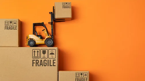 Antalya evden eve nakliyat profesyonel taşıma